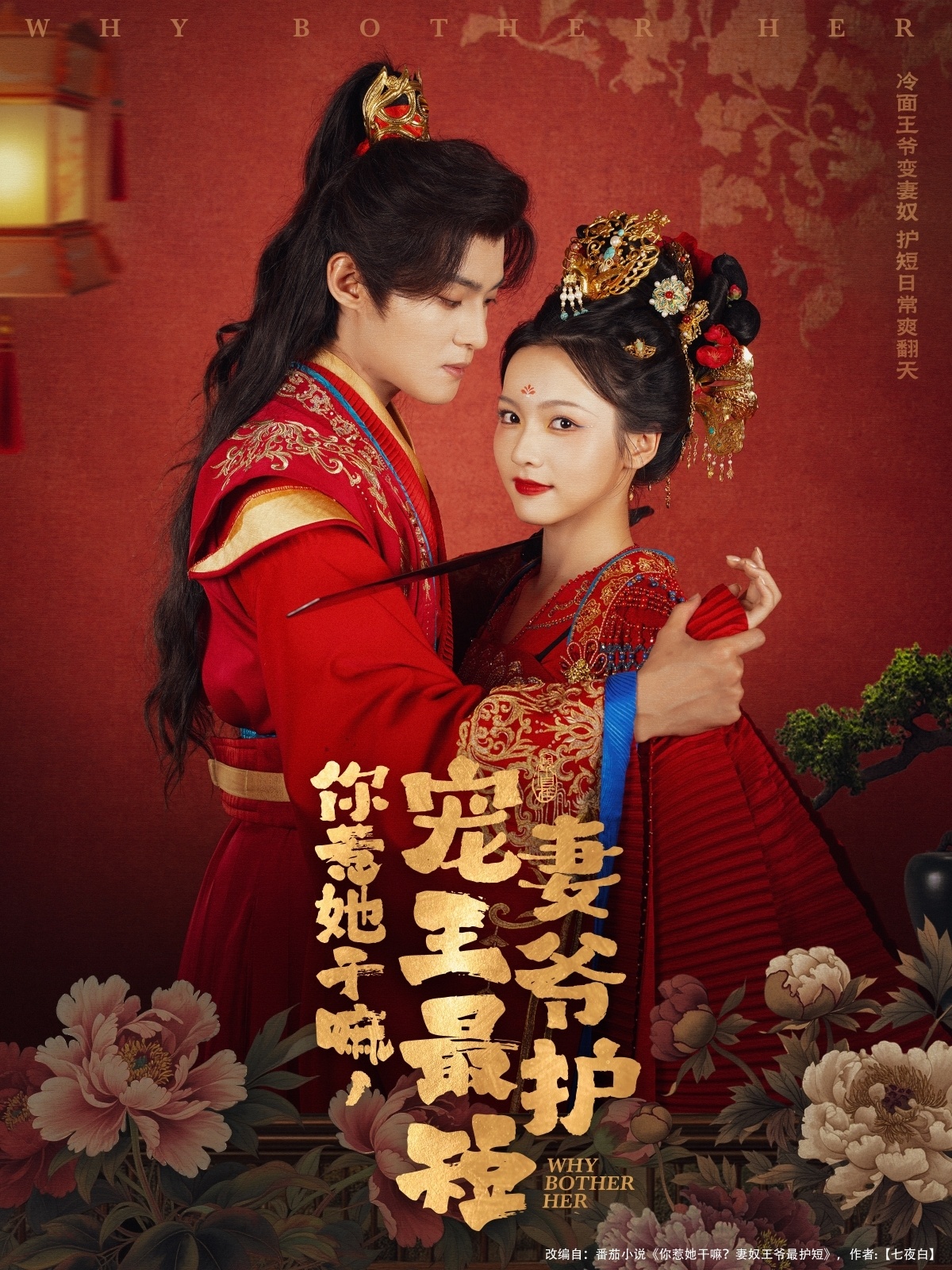 你惹她干嘛，宠妻王爷最护短